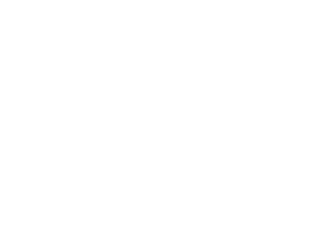 Spira mirabilis